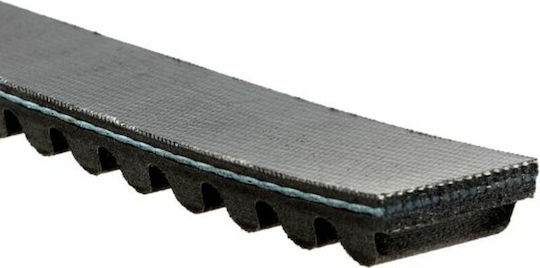 Gates Ιμάντας Μετάδοσης Μοτοσυκλέτας PL31001