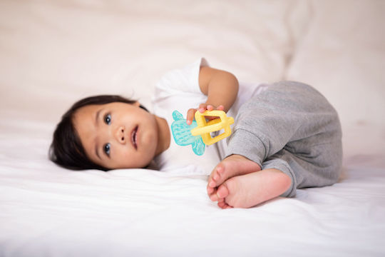 Chicco Teething Ring made of Silicone for 4 m+