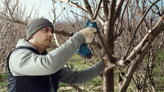 Bosch PRO PRUNER Ψαλίδι Κλαδέματος Μπαταρίας 12V 2x3Ah με Μέγιστη Διάμετρο Κοπής 25mm