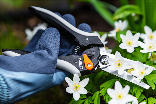 Neo Tools Traubenschere Länge 20cm mit Maximalem Schnittdurchmesser 6mm