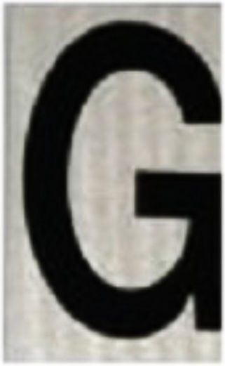 Ergo "G" Πινακίδα με Γράμμα G σε Μαύρο Χρώμα 4cm 572410.0069