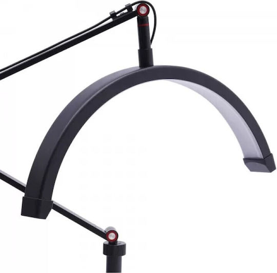 Aesthetic Center Lighting Half Moon Clamp Support Light Fixture