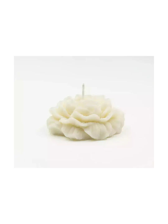 Leather Creations XK Aromatisches Soja-Kerze mit Parfüm Warme Schokolade