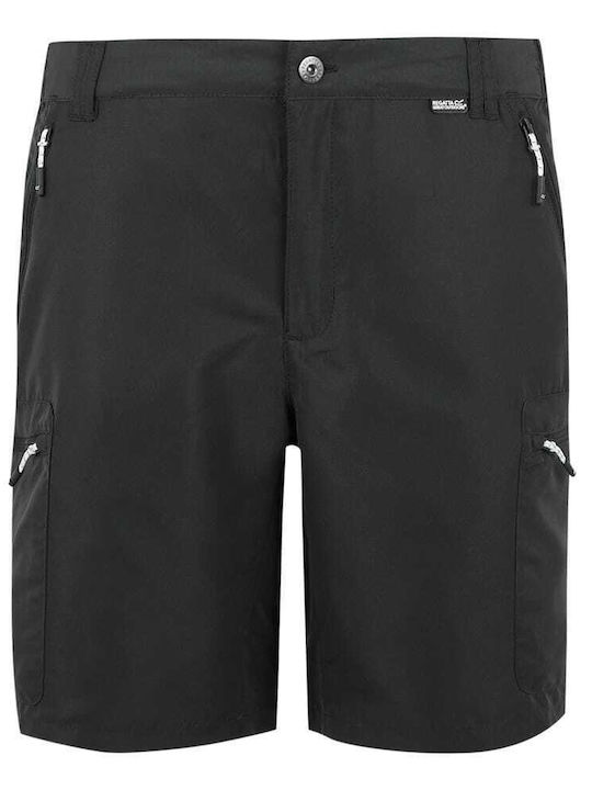 Herrenshorts Ash