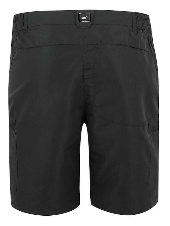 Herrenshorts Ash