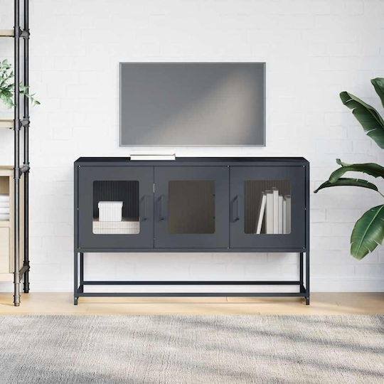 Metallic Anthracite TV Stand L100.5xD39xH60.5cm