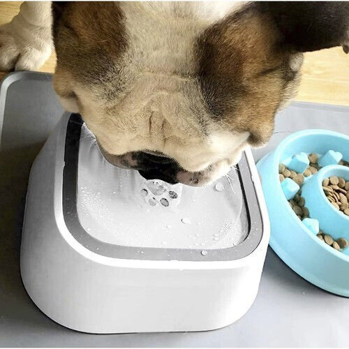 Purlov Schalen aus ABS-Kunststoff Futter & Wasser Langsame Fütterung für Hund & Katze 1.5lt in Weiß Farbe 2Stück