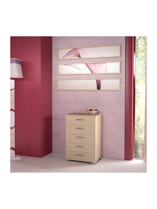 Wooden Chest of Drawers with 5 Drawers Oaks 60x45x90cm