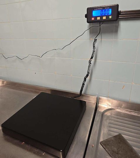 TE Tameiaki Express Electronic with Weighing Capacity of 150kg and Division 50gr