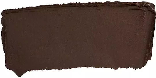 Nudestix Magnetic Colour Fard de Pleoape Matifiant Stick cu Culoare Maro 2.8gr