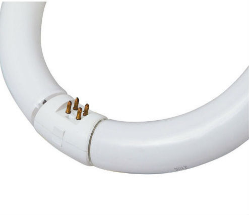 Ledvance Fluorescent Lamp for Socket G10Q with Shape T9 32W 305mm