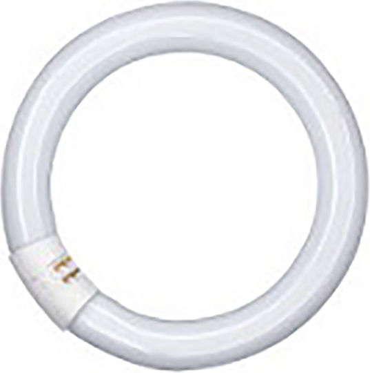 Ledvance Fluorescent Lamp for Socket G10Q with Shape T9 22W 216mm