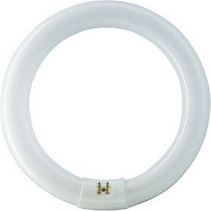 Philips Fluorescent Lamp for Socket G10Q with Shape T9 40W