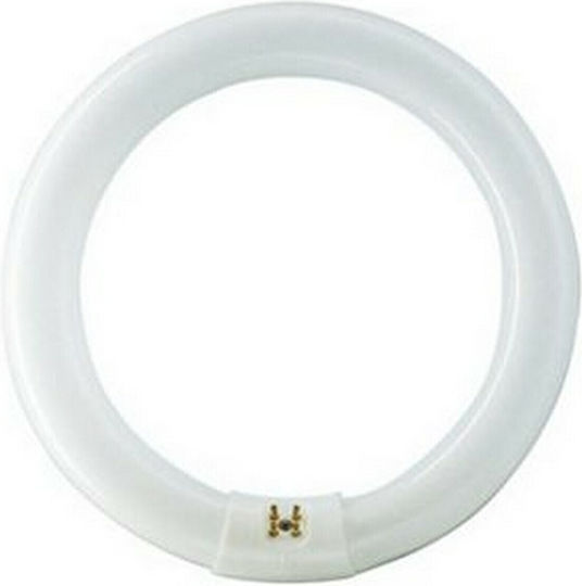 Ledvance Fluorescent Lamp for Socket G10Q with Shape T9 22W 216mm