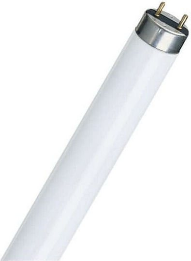 Philips Fluorescent Lamp for Socket G13 with Shape T8 58W Red