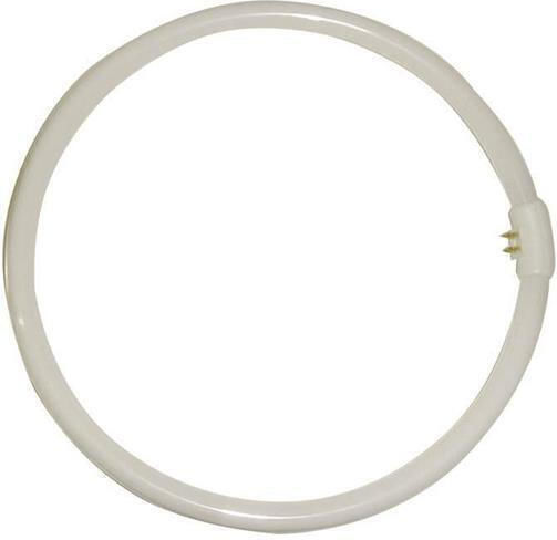 Ledvance Λάμπα Φθορίου για Ντουί G10Q με Σχήμα T9 22W