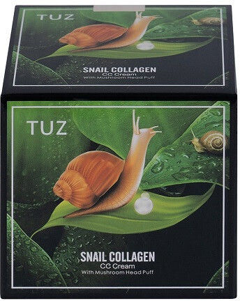 Tinted CC Cream 01 Ivory Creme Gesicht Tag Gefärbt 15gr