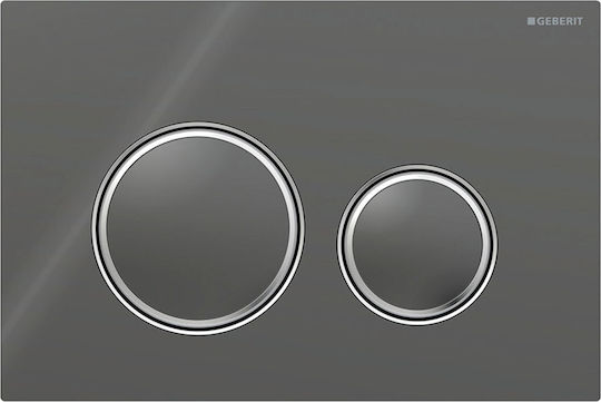 Geberit Sigma 21 Flush Plate Dual Flush