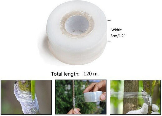 Grafting Tape 20mm x 30 m