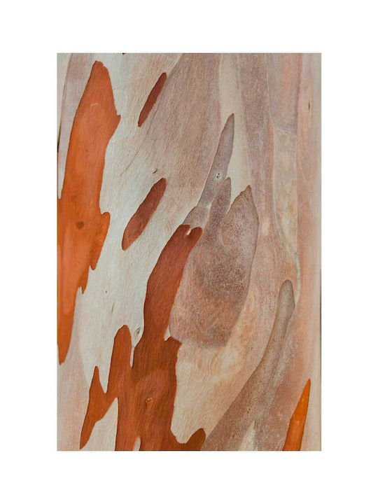 Abstract Tree Bark Pattern Painting 80x120