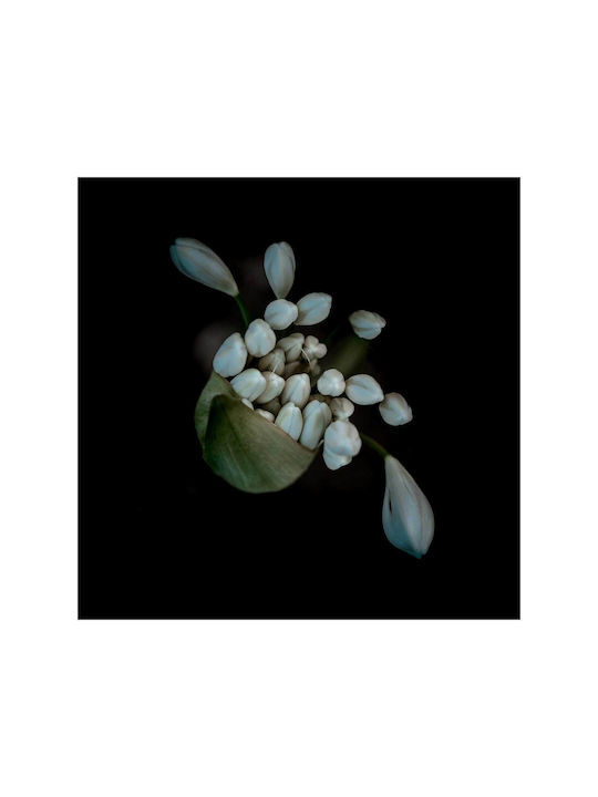 Painting White Budding Flowers 110x110
