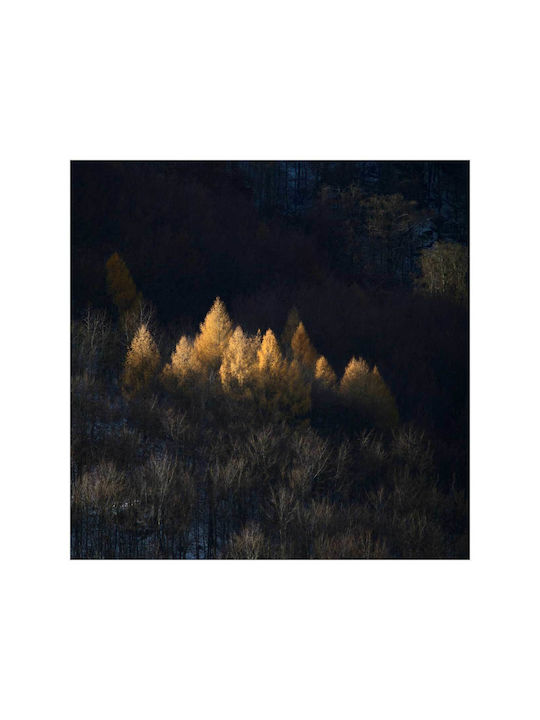Πίνακας Golden Trees In A Forest Χρυσά Δέντρα Δάσος 110x110