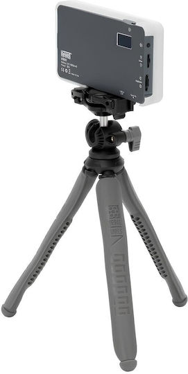 Newell Rangha Set LED Light