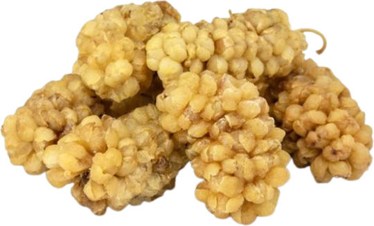 Nostos Pure Bio-Produkt Trockenfrüchte & Nüsse 100gr