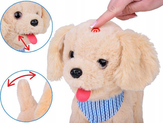 Jokomisiada Plüschhund 25 cm