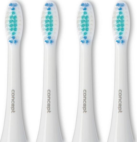 Concept Perfect Smile Daily Clean ZK0001 Ersatzköpfe für 4 Stück