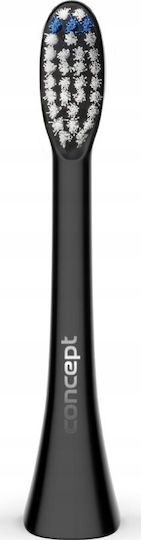 Concept Perfect Smile Daily Clean ZK0051 Ersatzköpfe für 4 Stück