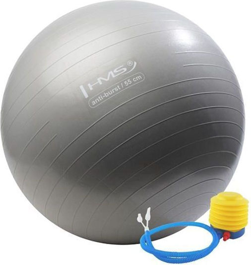 Abisal Ball Pilates 55cm in Gray Color