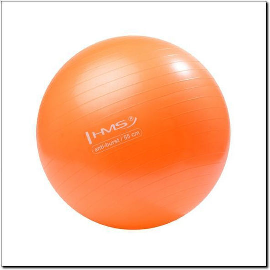 Abisal Ball Pilates 55cm in Orange Color