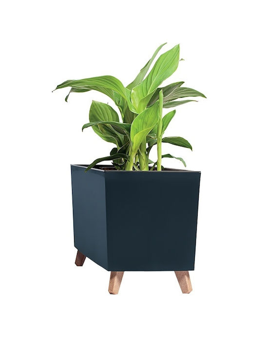 Prosperplast Case Κασπώ Πλαστικό Γκρι με Βάση 77x23.5x30εκ.