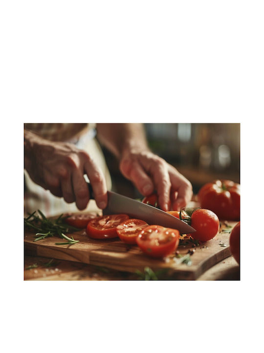 Samura Harakiri Knife Steak from Stainless Steel