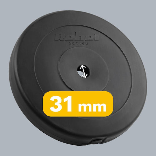Set of Plates 2 x 15kg Ø31mm