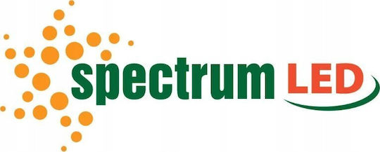 Spectrum Λάμπα LED 4W για Ντουί E14