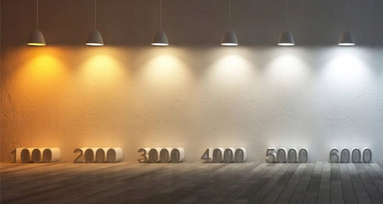 TK Lighting Висящо осветително тяло Златист