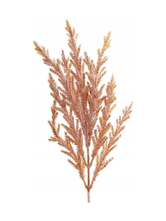 Ramură de Pampas Crem-Pudră 32cm