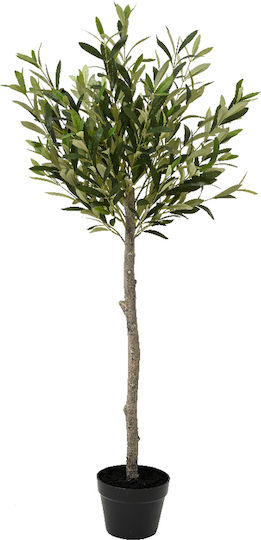 Pflanze Baum Olivenbaum Topf 45x45x120cm Monochrom Kaeming