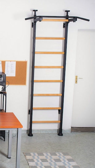 BenchK 260807 Multi-Gym