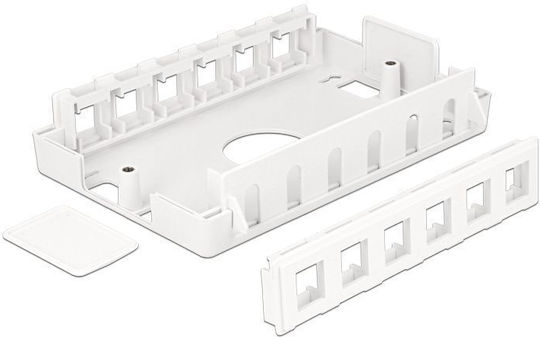 DeLock Keystone Surface Mounted Box 12 Port