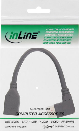InLine Μετατροπέας DisplayPort male σε DisplayPort female 1τμχ 17159R