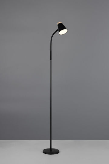 Trio Lighting LED Stehleuchte mit Warmweißem Licht Schwarz