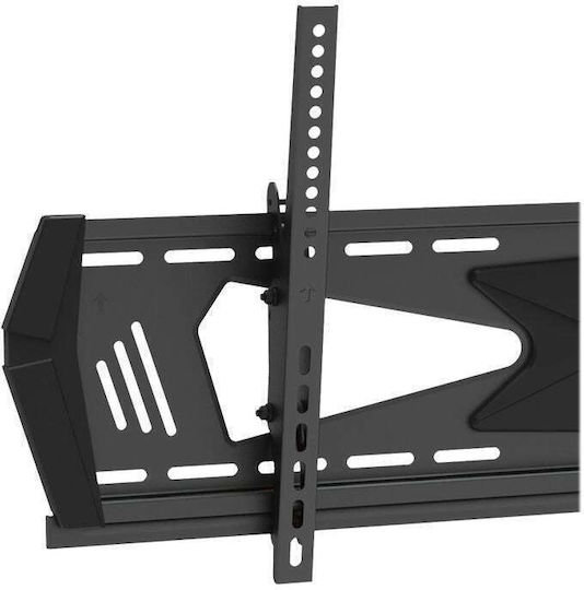 StarTech S55058175 Επιτοίχια έως 70" και 40kg