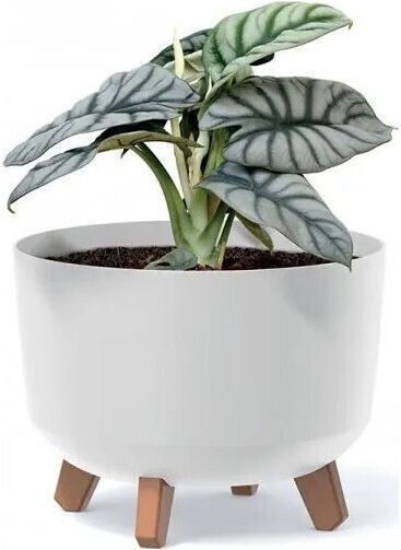 Prosperplast Blumentopf Gracia Übertopf Gray
