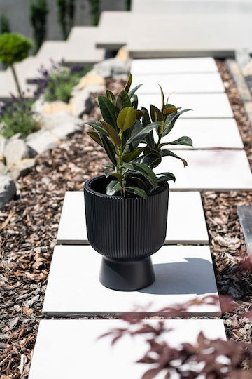 Prosperplast Planter Green 30x30cm.