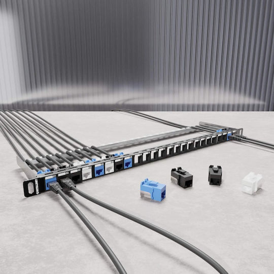 Intellinet Network Solutions Intellinet 24-port Patch Panel Shielded Unloaded 0.5 He Blank Panel 48.26 Cm 19-inch Rack Mounting Keystone Jacks Black