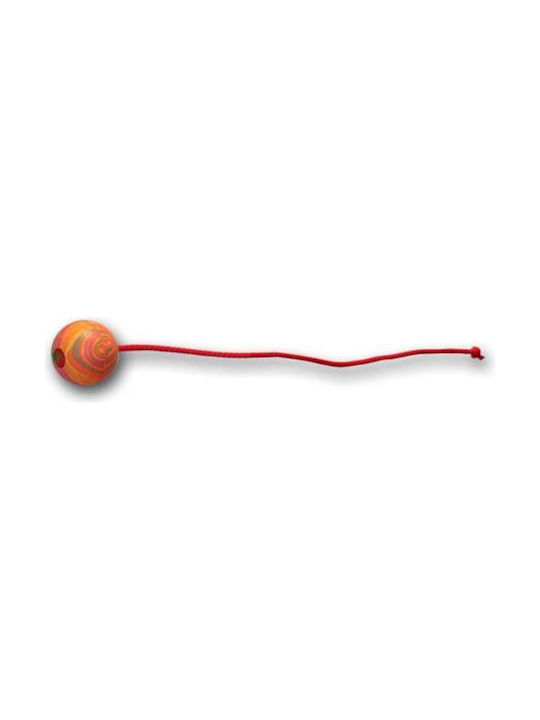 Contributed Fotbal Bell +