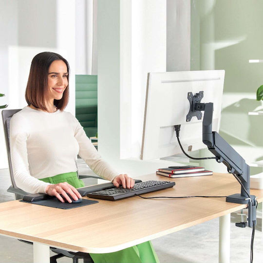 Leitz Monitor Mount
